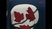 The New England Quilt Museum and More