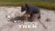 Mammoths: What Does a Paleontologist Do?
