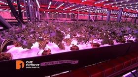 Video thumbnail: One Detroit Salad Days For An Indoor Farm