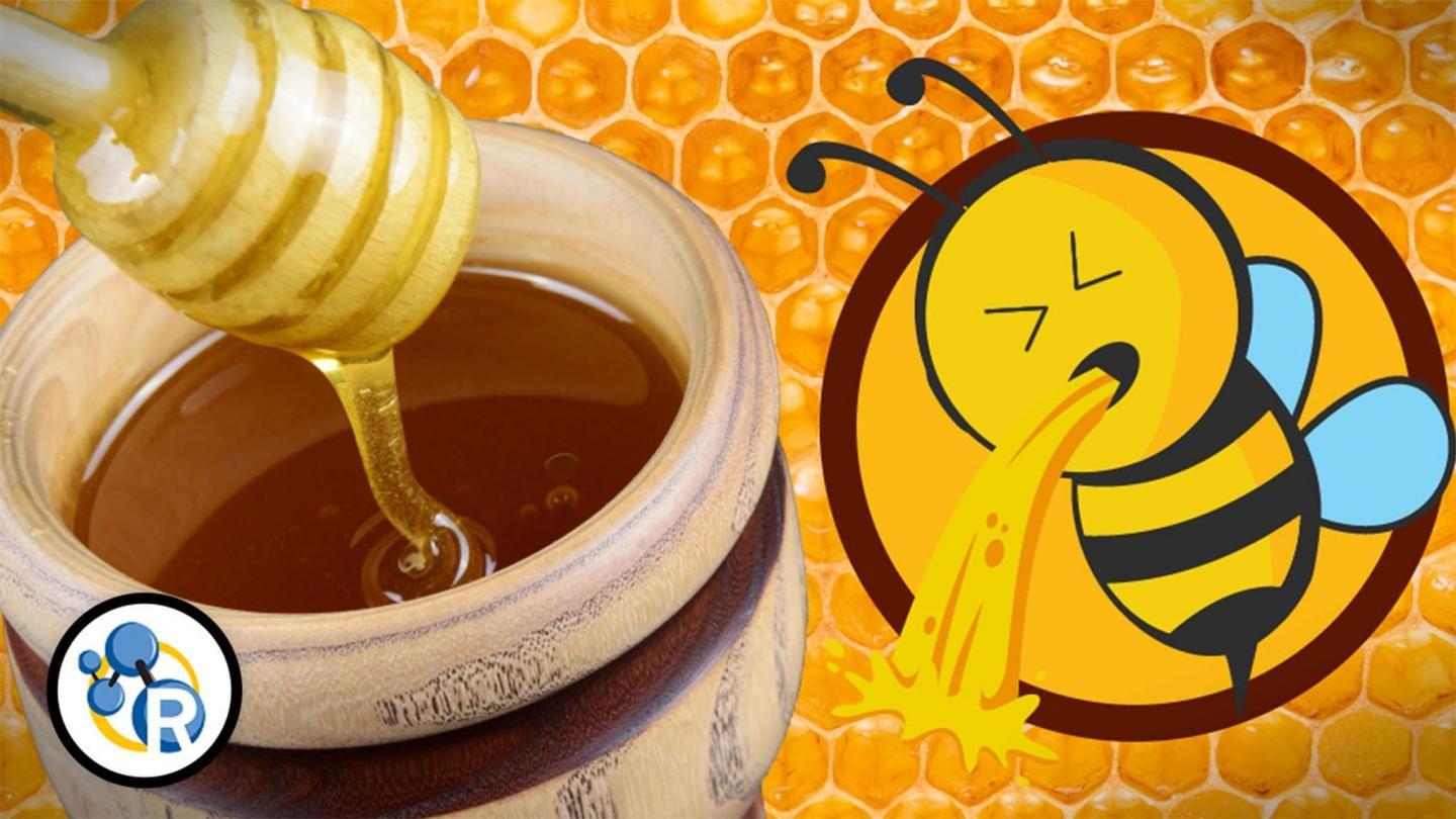 How Bees Make Honey Step-by-Step Process - Kids Facts