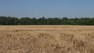 The Batter Capital of the World