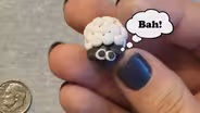 Making Clay Sheep