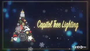 2020 Capitol Tree Lighting