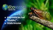 S01 E02: Alternative Jet Fuel | Fluddles | Cicada Invasion