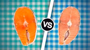 Wild Salmon or Farmed Salmon? Which is the Best Choice?