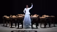 Ballet Hispánico’s Doña Perón