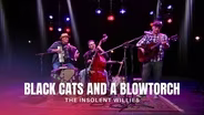 The Insolent Willies Perform "Black Cats And A Blowtorch"