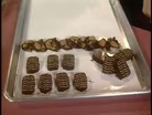 Truffle Treasures 2