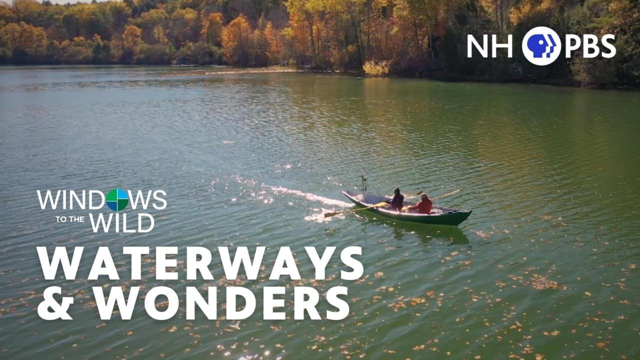 Windows to the Wild | Waterways & Wonders