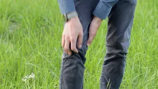 Lyme Disease: What You Need to Know - Preview