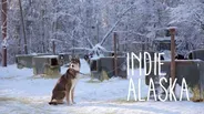 I Am An Iditarod Musher | INDIE ALASKA