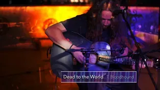 T. Bloodhound - "Dead to the World"
