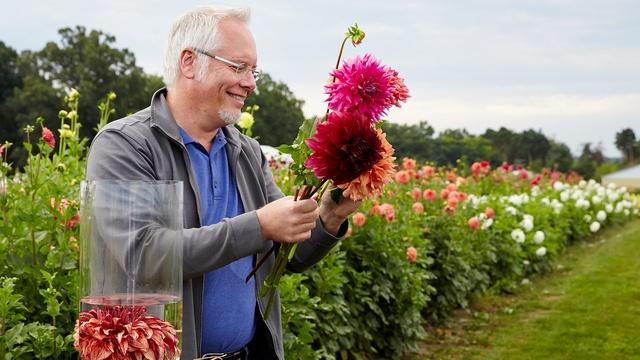 J Schwanke's Life In Bloom | Flower Power