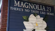 Magnolia 23