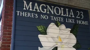 Magnolia 23