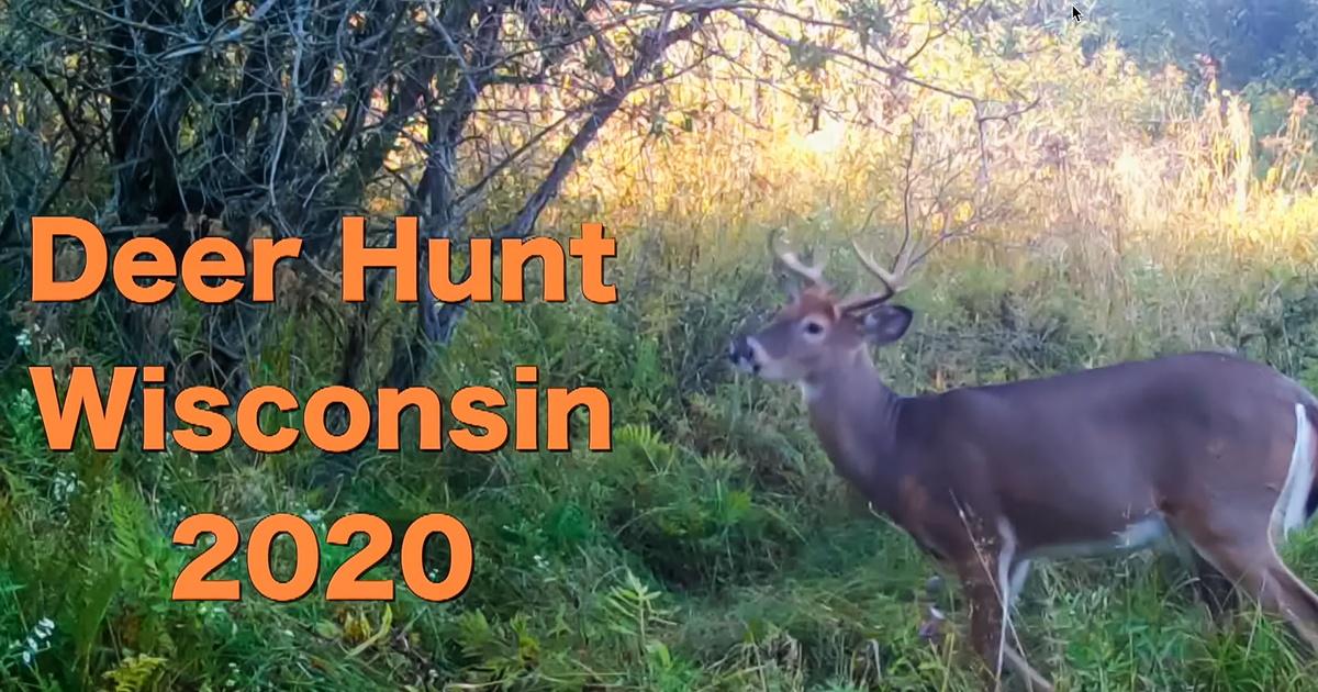 Outdoor Wisconsin Deer Hunt Wisconsin 2020 KPBS