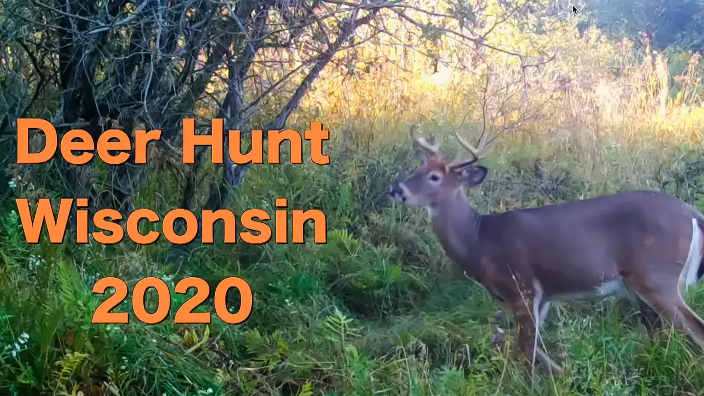 Deer Hunt Wisconsin 2020