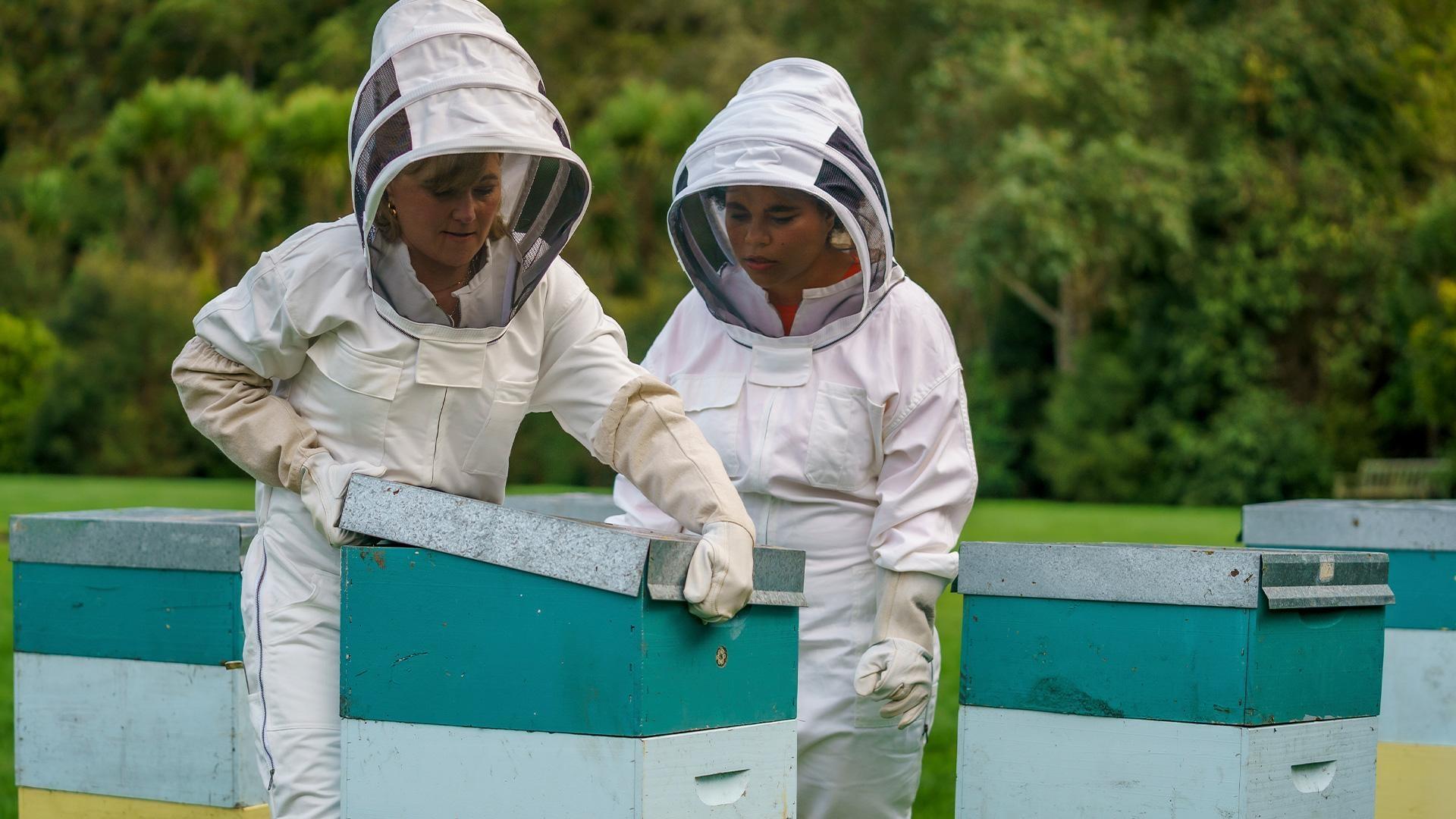 A bride dies from an allergic reaction to a bee sting and Alexa investigates.