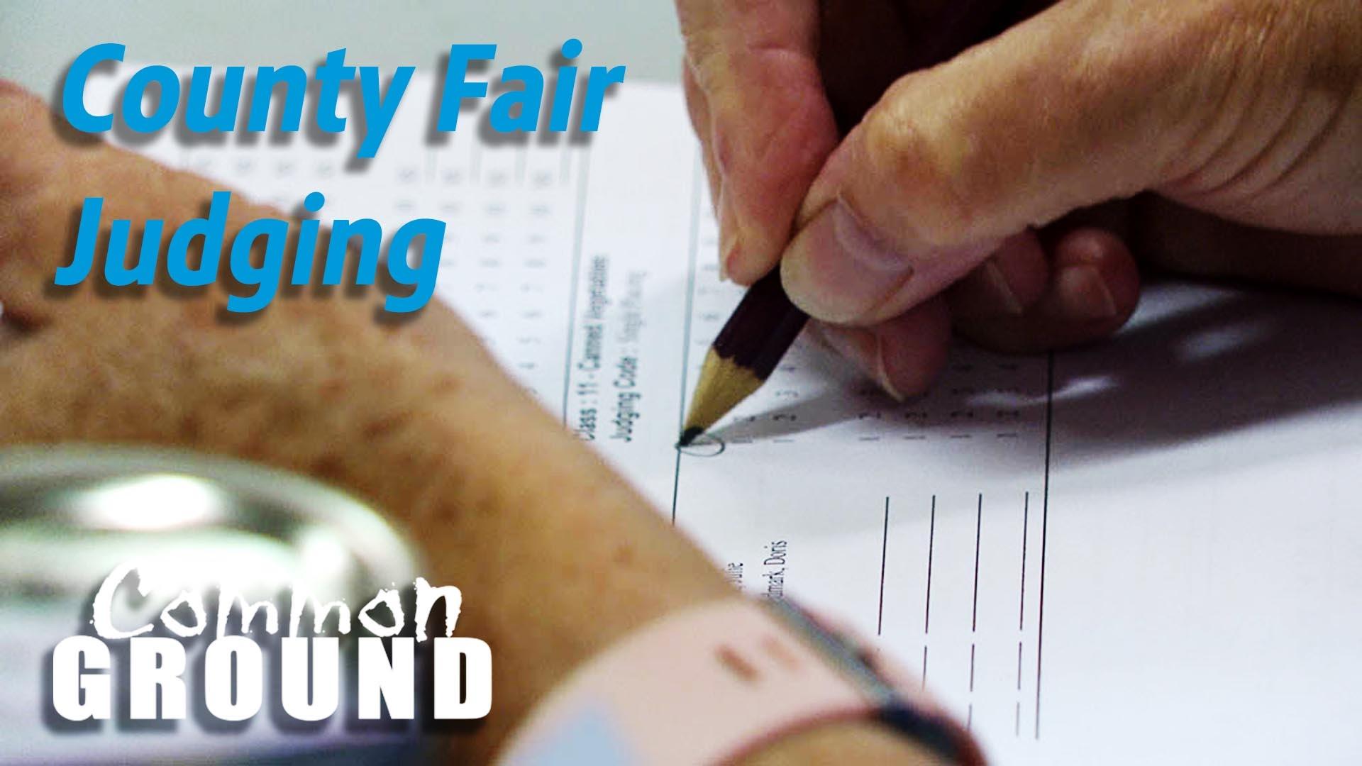 County Fair Judging