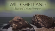Wild Shetland: Scotland's Viking Frontier