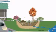 Backyard Farmer: Digging Deeper: Rain Gardens