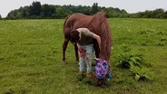 Equine Therapy at Credo