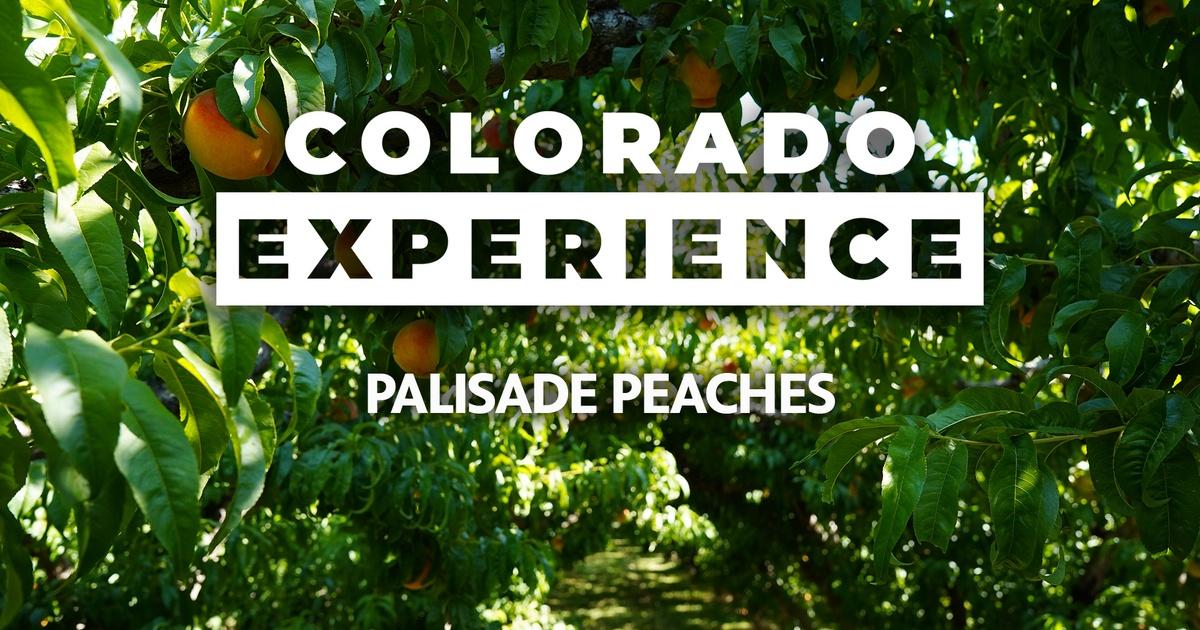 Colorado Experience | Palisade Peaches | Season 11 | Episode 8