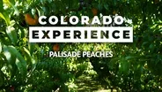 Palisade Peaches