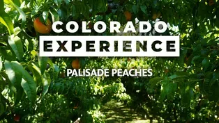 Palisade Peaches