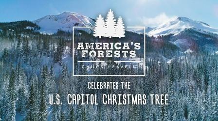 Video thumbnail: America's Forests with Chuck Leavell U.S. Capitol Christmas Tree (2020)