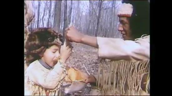 Maple Sugar