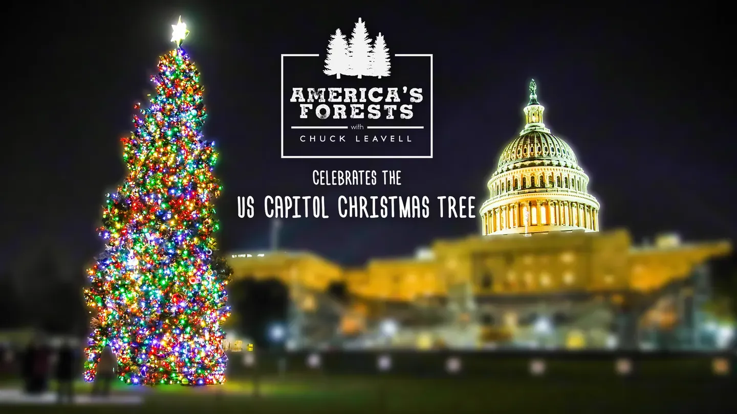 America's Forests with Chuck Leavell