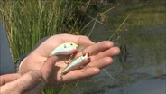 Most Effective Lures | Gear Time