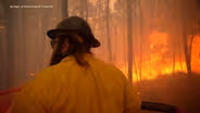 ‘Tinder-dry’ conditions in places as wildfire season starts