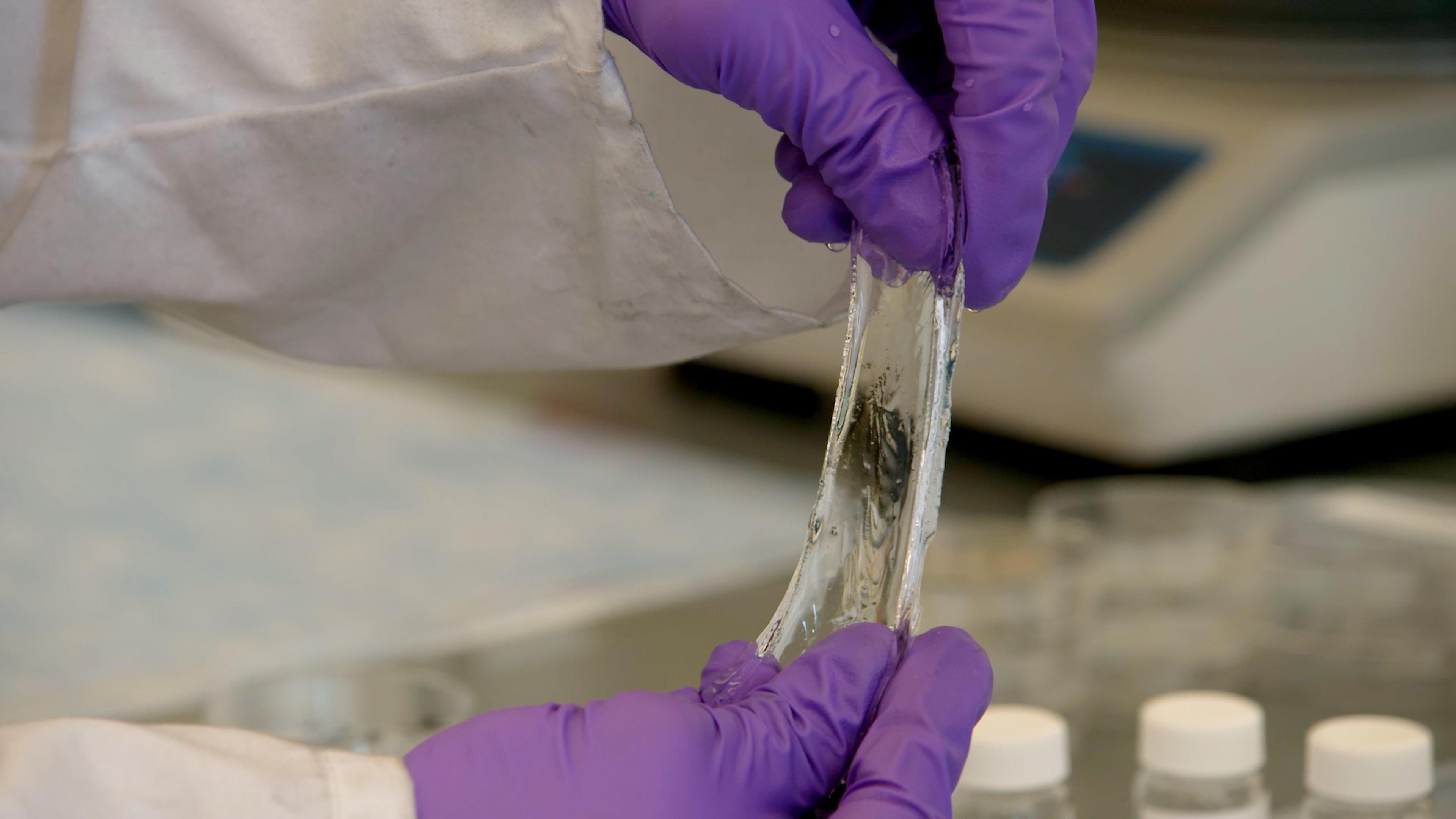 Two purple-gloved hands stretching a clear goo.