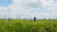 Skimmer Savers, Paddling Goliad, Pineywoods Family