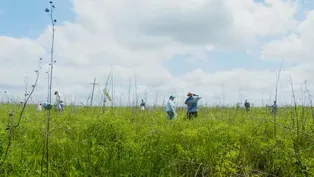 Skimmer Savers, Paddling Goliad, Pineywoods Family