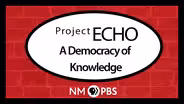 Project Echo: A Democracy of Knowledge