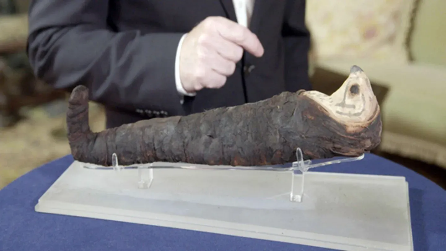 Appraisal: Egyptian Mummified Falcon, ca. 200 BC