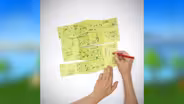 Fold Out Neighborhood Guide
