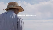Rooted Resilience