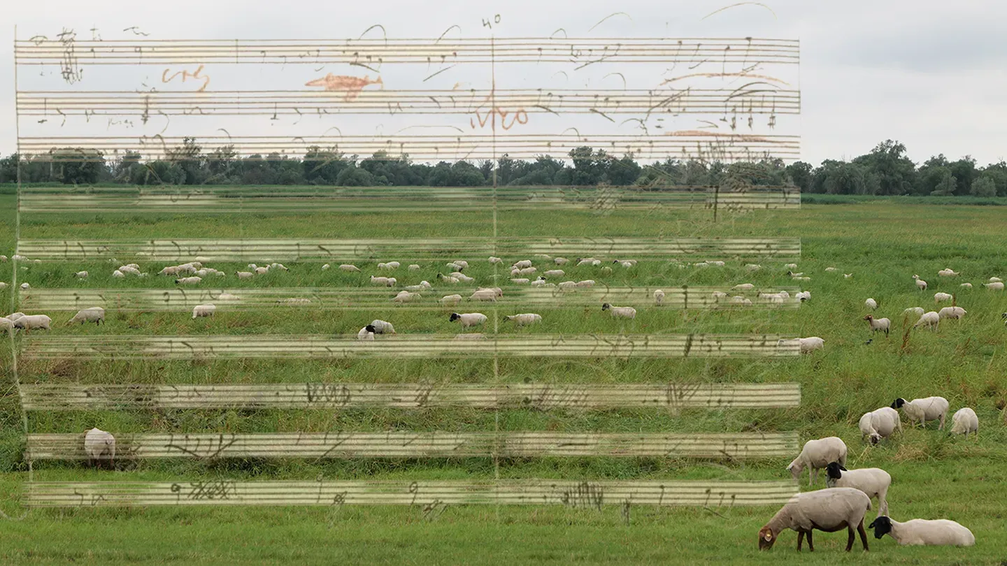 Beethoven 6