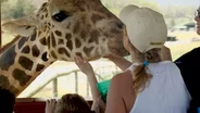 A Ride on the Wild Side at The Virginia Safari