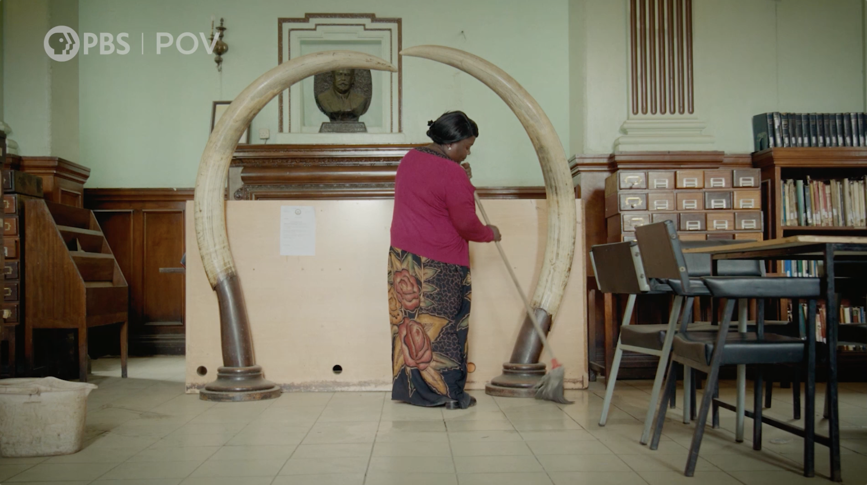 Trailer for How to Build a Library by directors Maia Lekow and Christopher King.