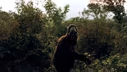 Life in Virginia's Appalachia: Folklore