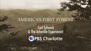 America's First Forest: Carl Schenck & The Asheville Experiment