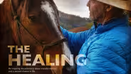 The Healing