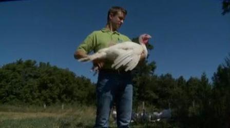 Video thumbnail: Farm to School: Growing Our Future Farmers Benefit from Farm to School