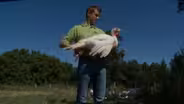 Farmers Benefit from Farm to School