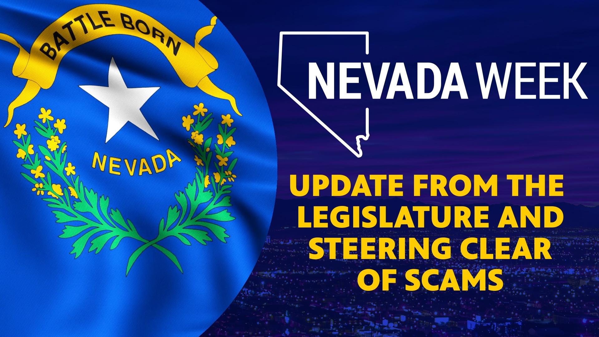 Update from the Legislature and Steering Clear of Scams